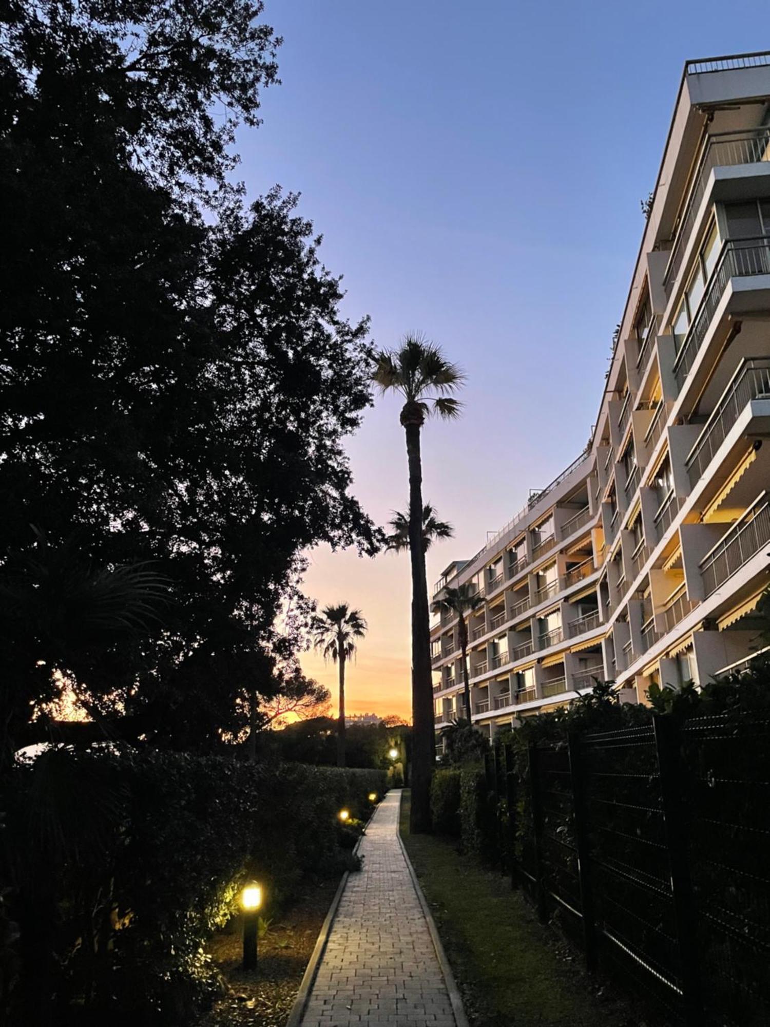 C037-Nice Studio With Garden And Parking - Near Beach Cannes Exteriör bild